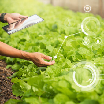 Farm Report